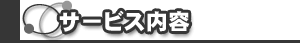 �T�[�r�X���e