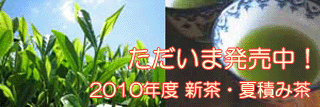 2010ǯ����