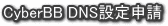 DNSݒ\